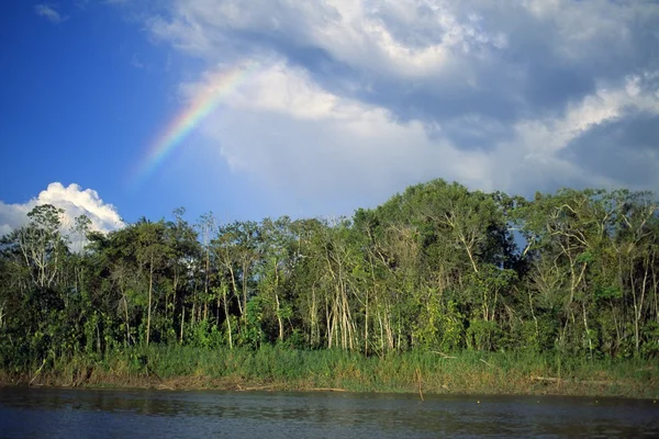 Rainbow Over Forest — Stock Photo, Image