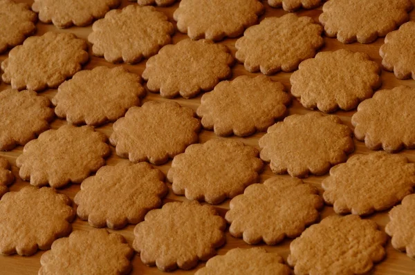 Cookies — Stock Photo, Image