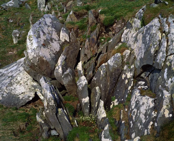 Roccia e licheni intemperie — Foto Stock