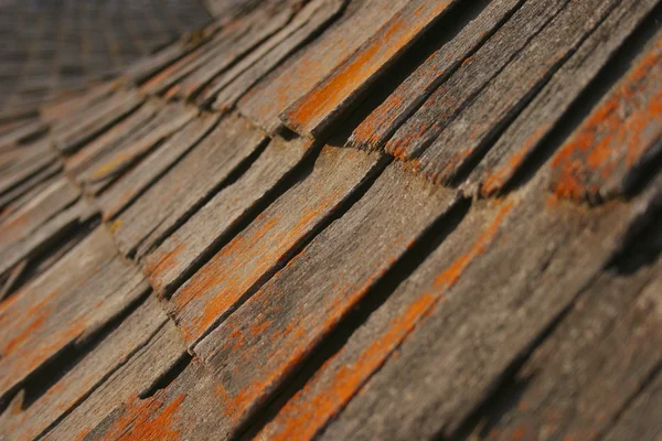 Close Up de tremores de madeira — Fotografia de Stock