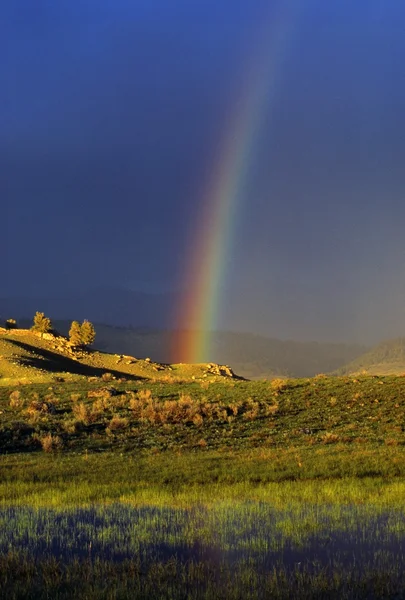 Rainbow over heuvels — Stockfoto