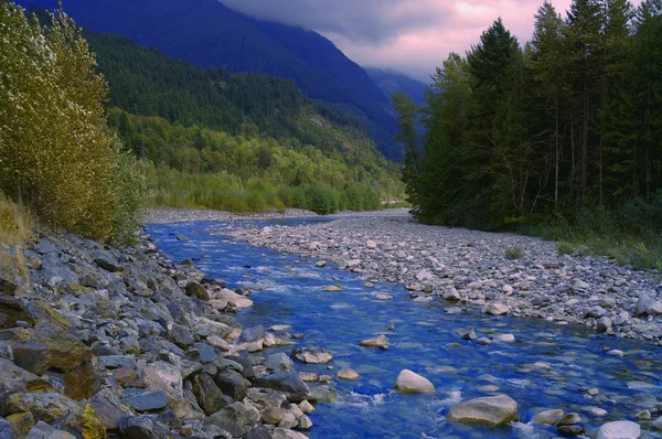 Un torrente di montagna panoramica — Foto Stock