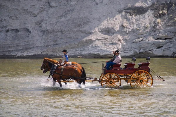 Kovboylar ve bir nehir geçiş buggy — Stok fotoğraf