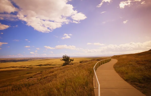 Kırsal alanda bir yol — Stok fotoğraf