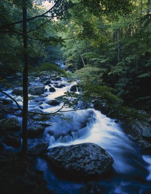 Stream In Motion, Boulders, Forest Trees, Late Summer, Tremont, Great Smoky Mountains National Park clipart