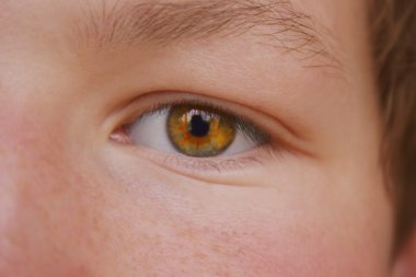 closeup ela göz rengi