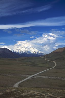 Mount mckinley park Road, denali Milli Parkı.