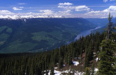 Arial görünümü bir nehir ve dağ ormanları