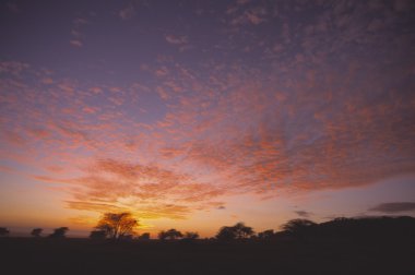 Sunrise serengeti, serengeti Milli Parkı, Tanzanya, Afrika