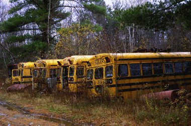 terk edilmiş okul otobüsleri