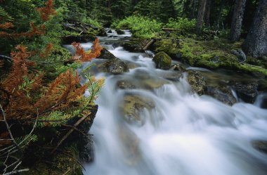 North Cascades National Park clipart