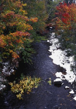 sonbahar ağaçlar ve akan bir nehir havai görünümü