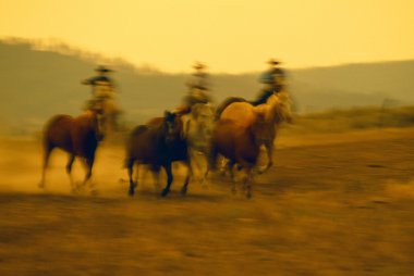 Cowboys On Horseback Herding Running Horses, Ponderosa Ranch, Soft Focus. clipart