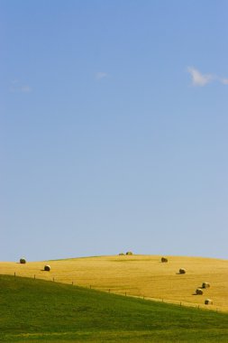 saman balyaları tarlada