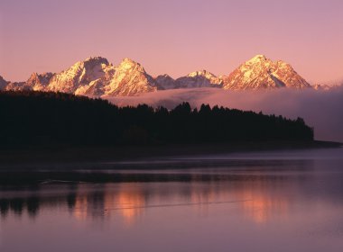 sunrise jackson Gölü, grand teton Milli Parkı içinde yansıma ile kontrast kavak ağaçları ile Grand teton Dağları