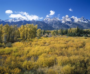 Teton aralığı Güz