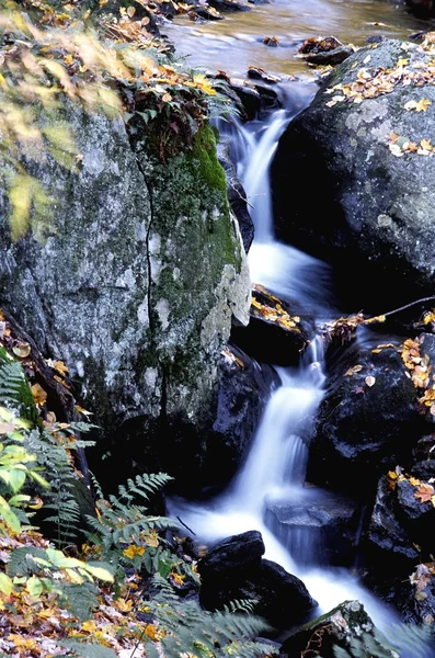 Damlatmalı akışı — Stok fotoğraf