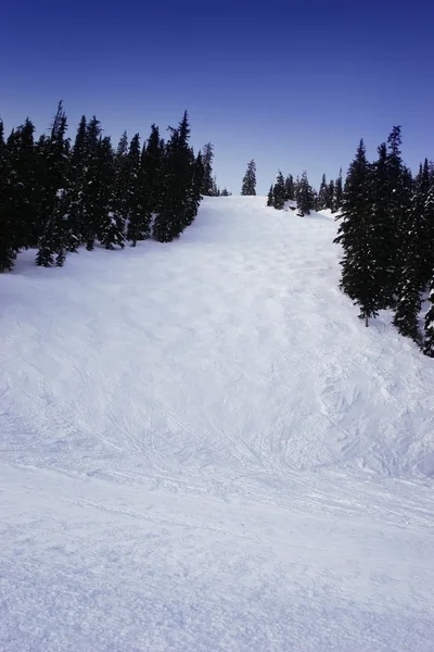 Ski Hill — Stockfoto