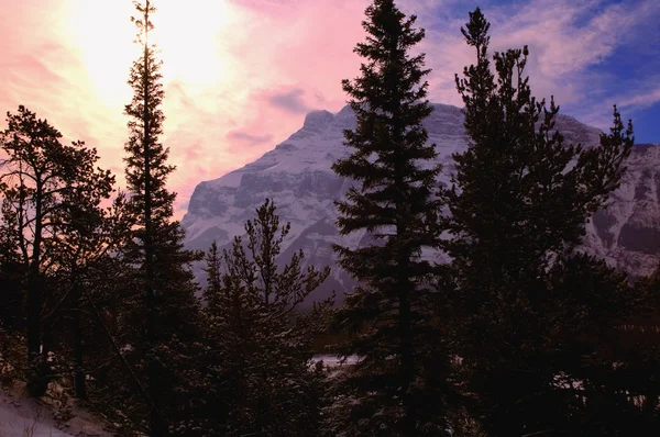 Berglandschaft — Stockfoto