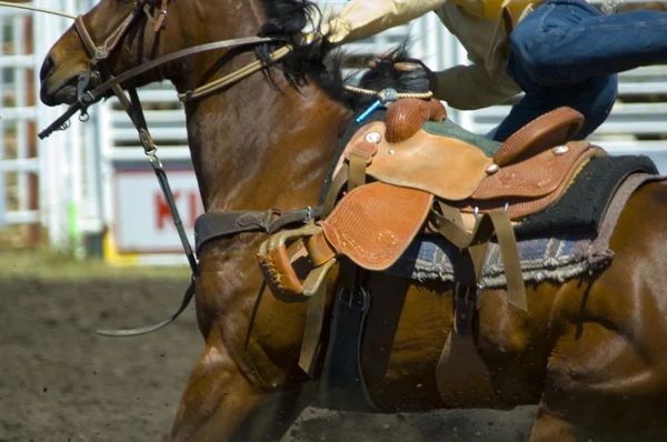 Spänningen i rodeo — Stockfoto