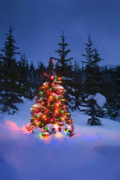 Χριστουγεννιάτικο δέντρο σε εξωτερικούς χώρους — Φωτογραφία Αρχείου