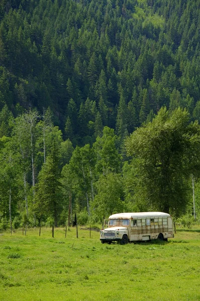 Oude bus in veld — Stockfoto