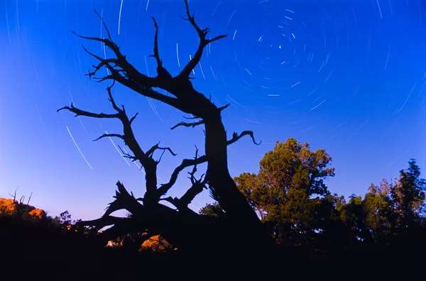 Stars In Utah Sky — Stock Photo, Image