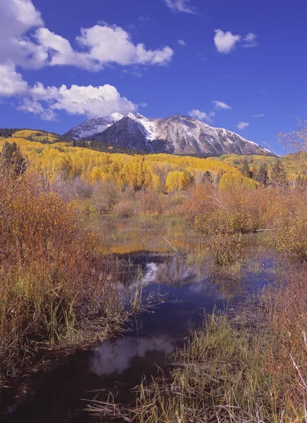 秋のポプラ グローブ、ロッキー山脈、ガニソン国立森林、コロラド州、米国でビーバーの池 — ストック写真