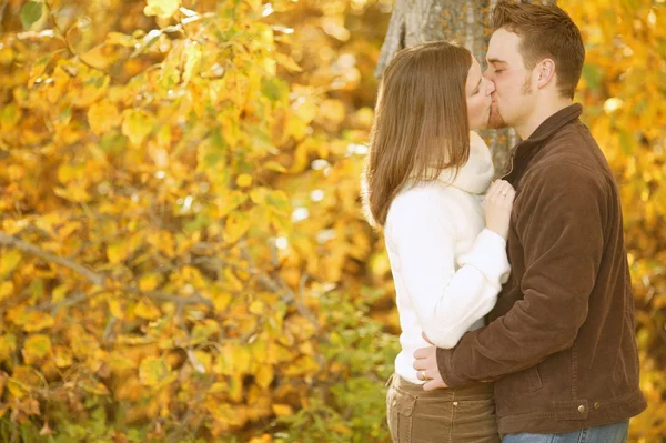 Пара поцелуев осенью — стоковое фото