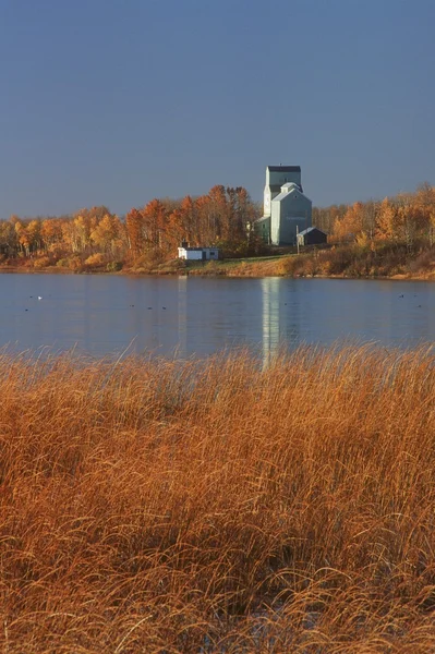 Tahıl Asansör, ferintosh, alberta, Kanada — Stok fotoğraf