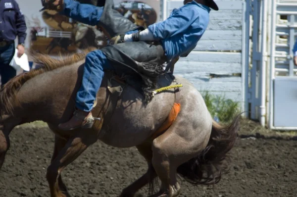 Regenmacher-Rodeo — Stockfoto