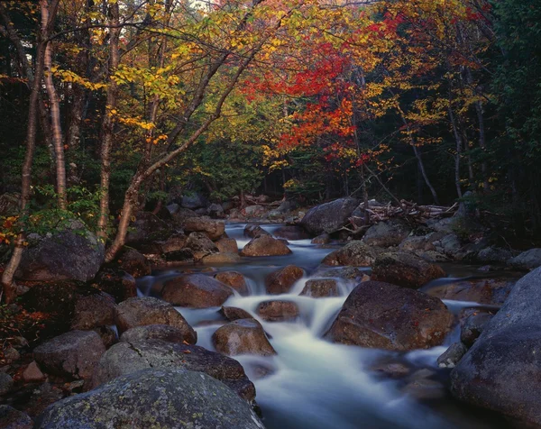 Roaring brook, podzimní barvy, baxter státní park — Stock fotografie
