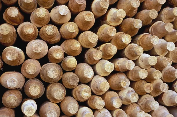 Shaped Wooden Logs In A Pile — Stock Photo, Image