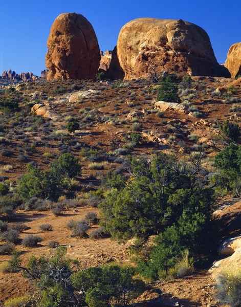 Redrock 砂漠の風景、アーチ国立公園 — ストック写真