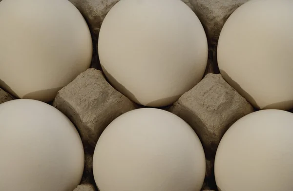 Eggs In A Carton — Stock Photo, Image