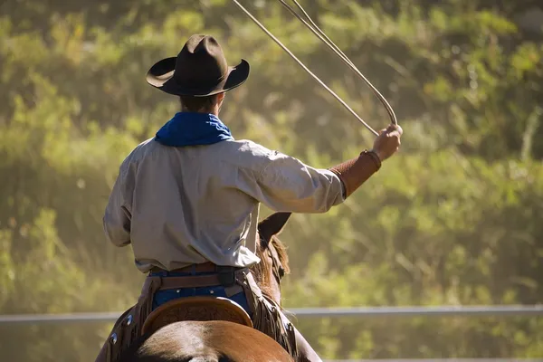 Cowboy com laço — Fotografia de Stock