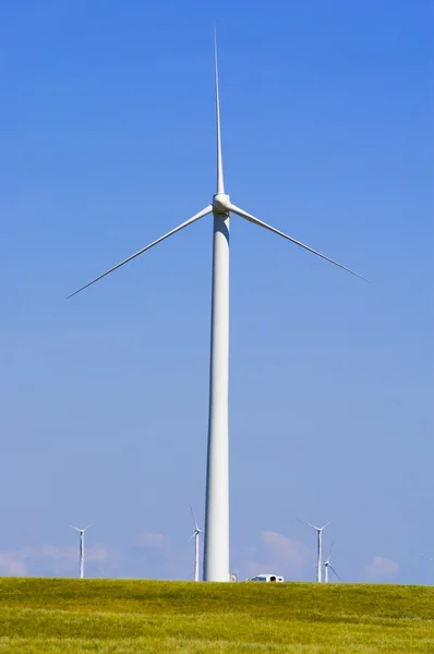 Une ferme éolienne — Photo