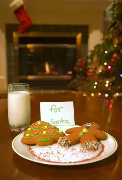 圣诞老人的 cookie — 图库照片
