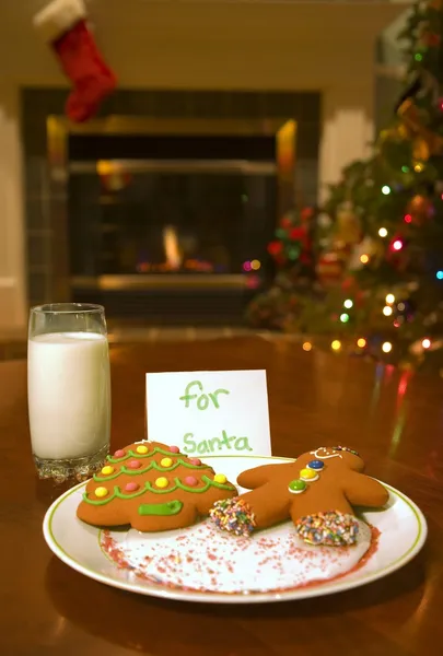 Kekse für den Weihnachtsmann — Stockfoto