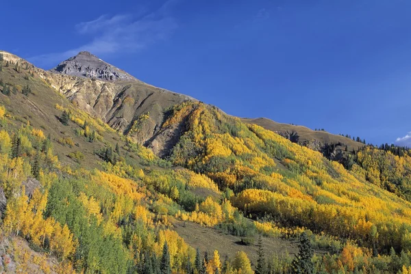 Kleurrijke herfst vallei en telluride piek, gezien onder ouray county — Stockfoto