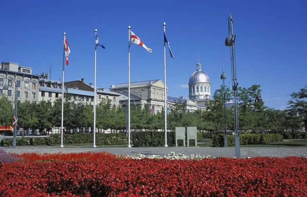 A City Park — Stock Photo, Image