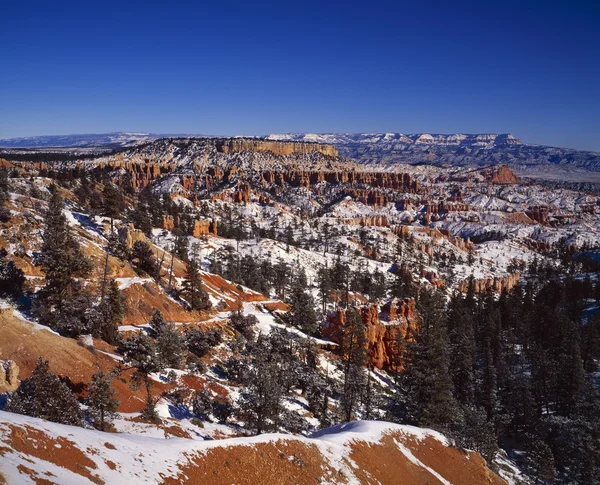 Winter In Bryce Canyon National Park — Stock Photo, Image