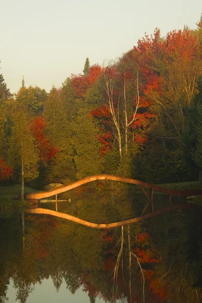 Natursköna bridge i park — Stockfoto