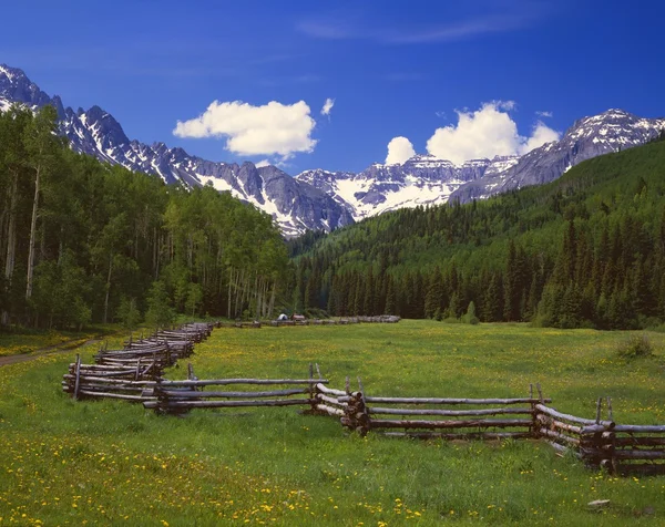 Split rail hek, uncompaghre national forest — Stockfoto