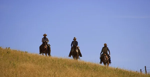 Three Cowboys Coming Over The Hill — Stock Photo, Image