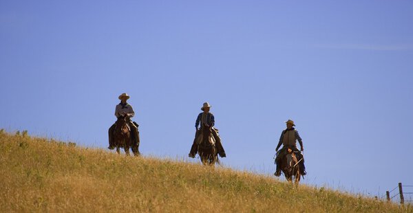 Три ковбоя, идущих по холму
