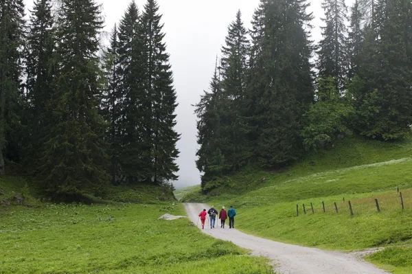Randonneurs alpins Promenade Sentier de montagne — Photo