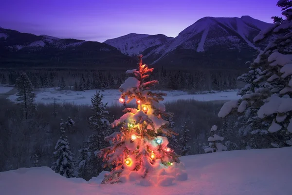 Arbre de Noël lumineux dans les montagnes — Photo