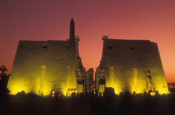 LUXOR-TEMPLET I EGYPT — Stockfoto