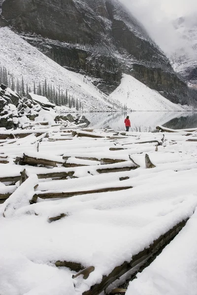 Vinter scen — Stockfoto